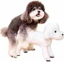 犬のおもちゃ 61TJ8Z+LPkL.jpg_BO30,255,255,